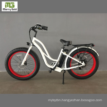 48V1000W Electric Bike Fat Tire Bike / Electric Womens Mountain Bike